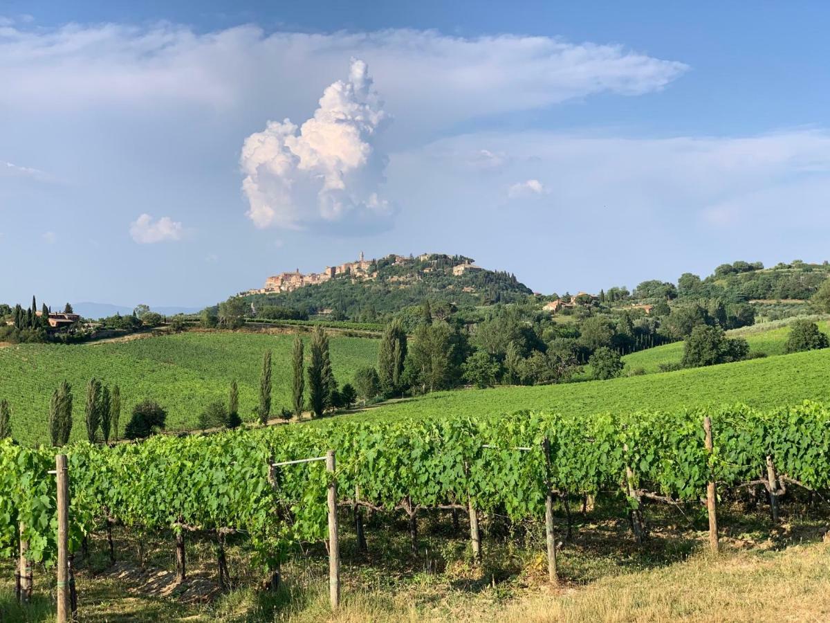 Montepulciano StazioneS. Bartolomeo Ii° - "La Loggetta"アパートメント エクステリア 写真